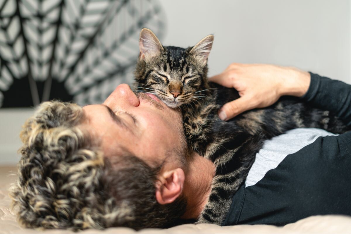 Котик с хозяином 