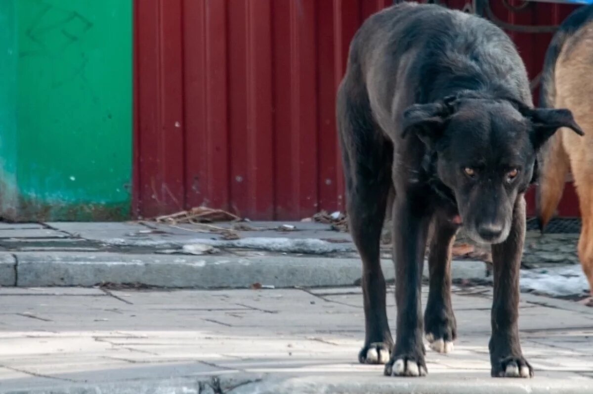    Фото для иллюстрации.