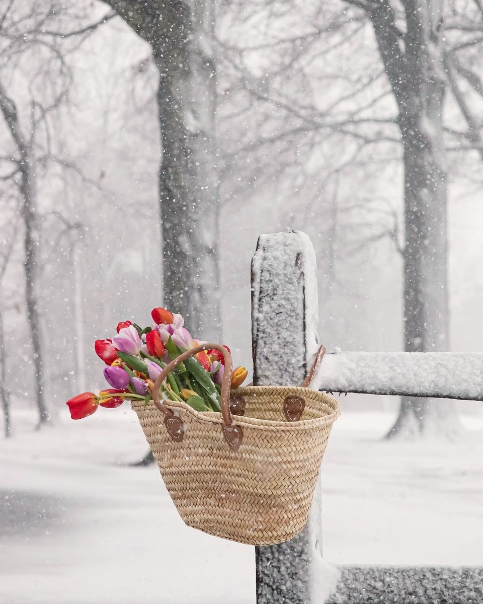 Яндекс картинки