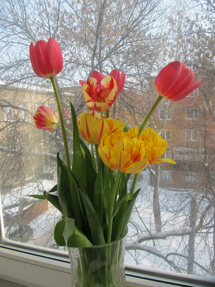 Яндекс картинки