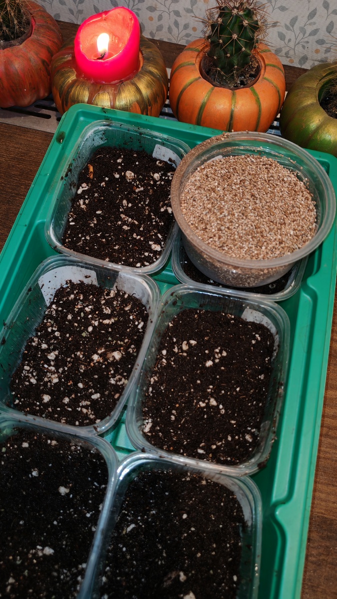 Контейнеры должны иметь дренажные отверстия 