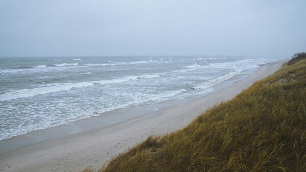    CC0 / Nikolay Vorobyev /