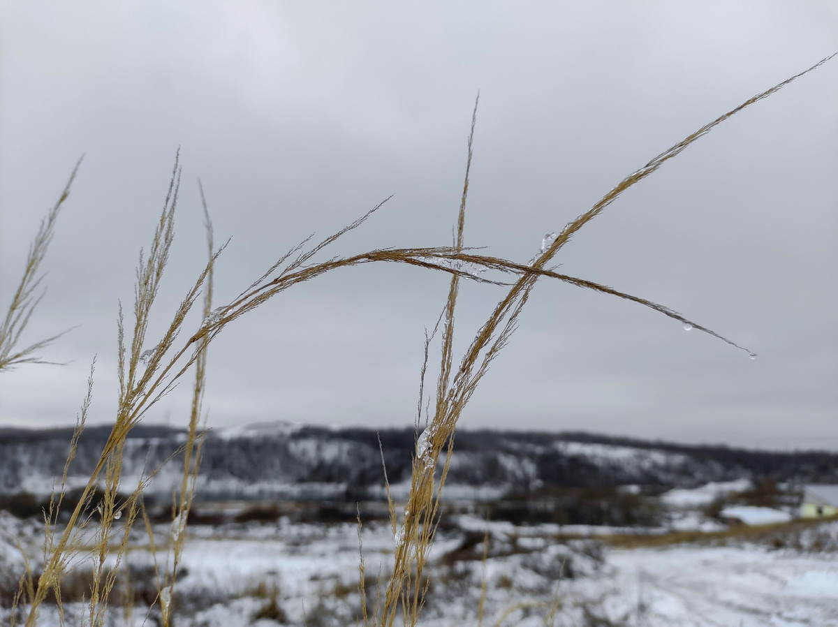 Не очень снежно, но очень холодно