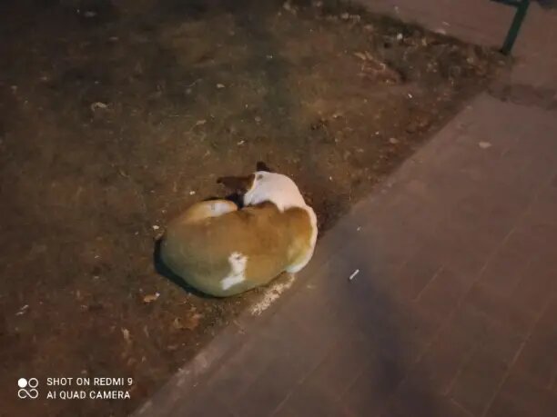 Берта в декабре 2022г