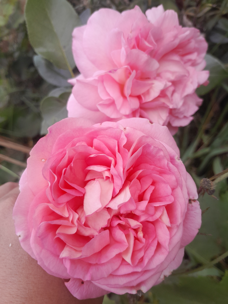 Для заставки))