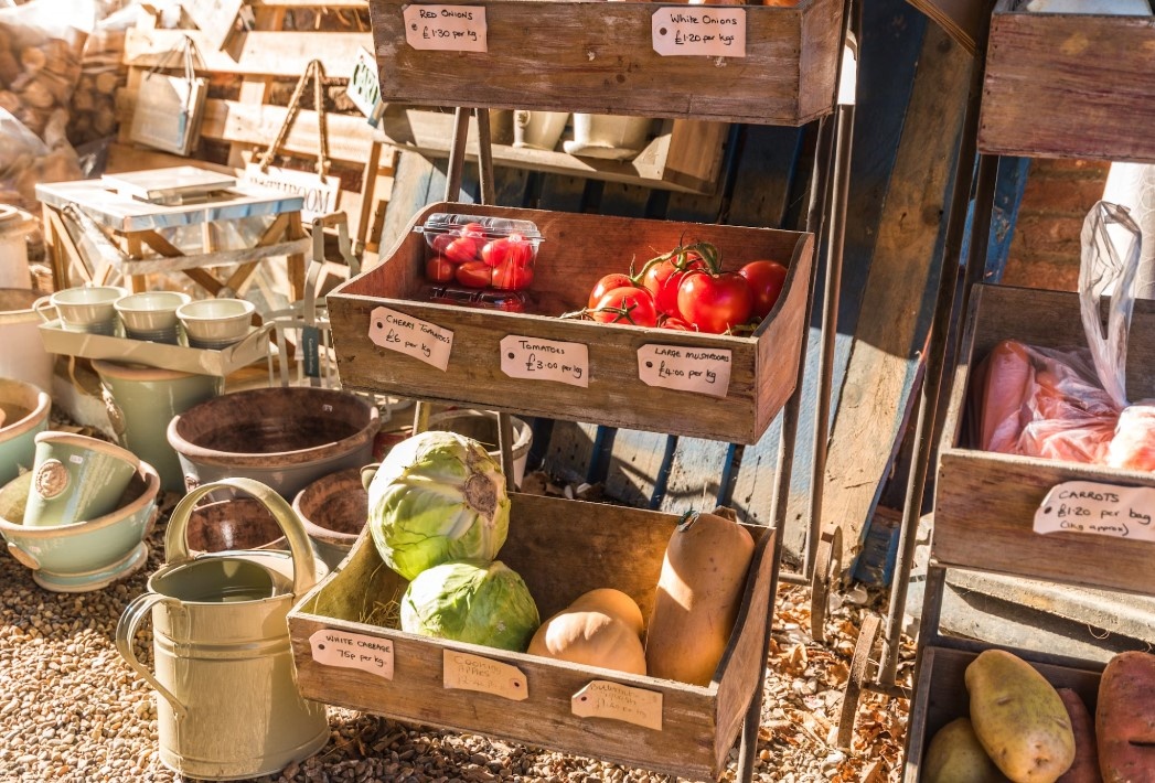    Фото: unsplash.com/@jeztimms