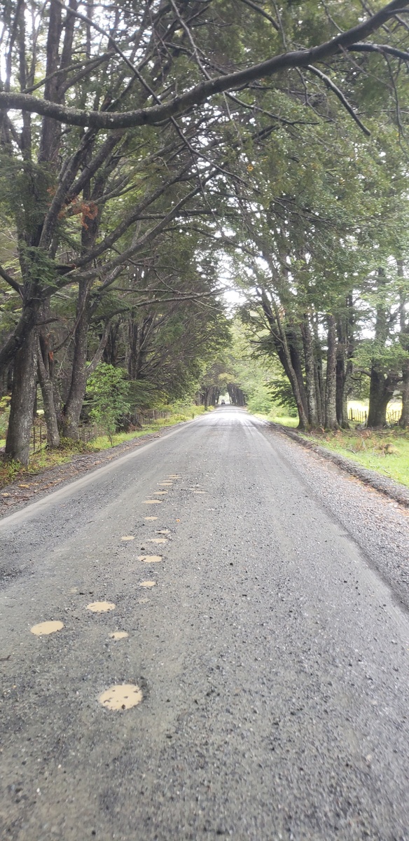 Еду на север Чили