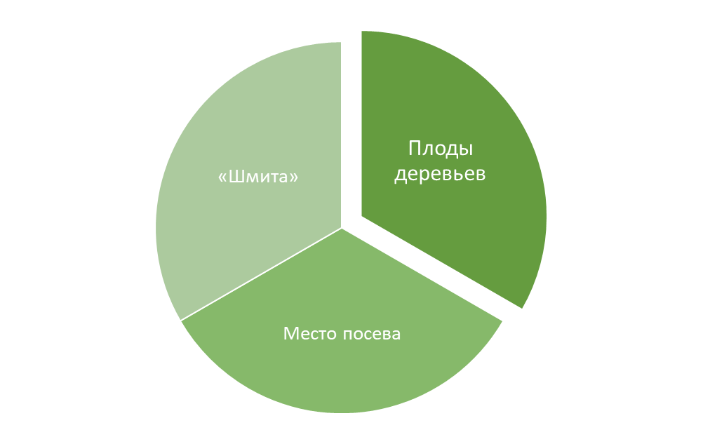Три принципа земледелия из Библии