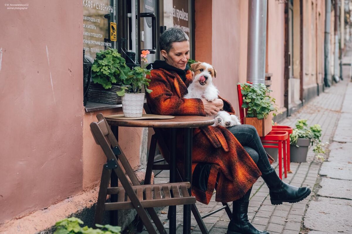 Маленький джек рассел – отличный компаньон в любом приключении.