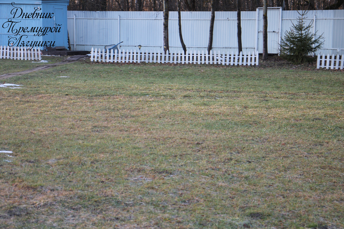 фото автора 09.01.2025