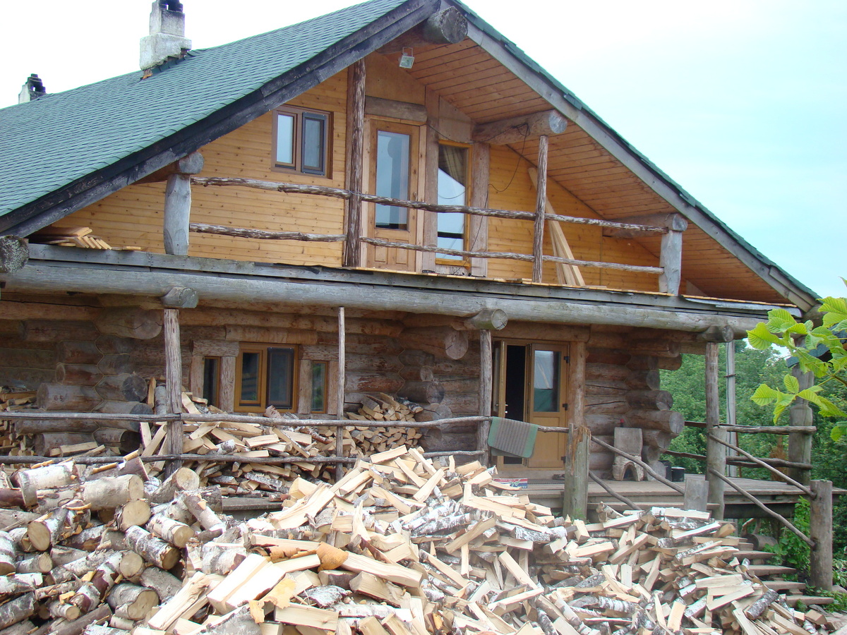 Дом Стерлигова в Подмосковье. фото автора