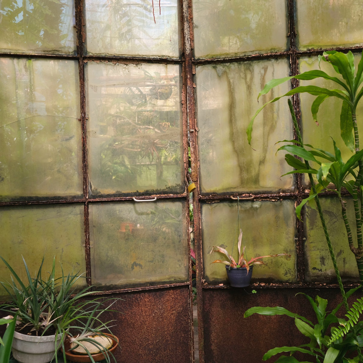 Старые двери в оранжерее