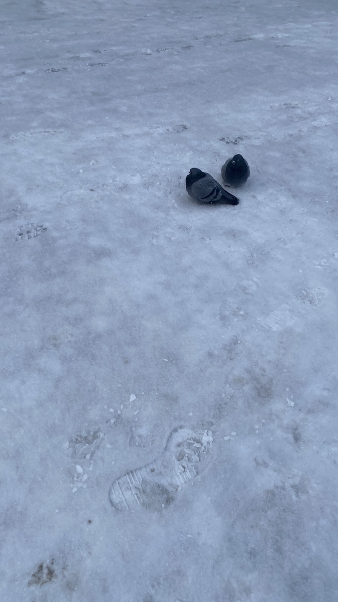 Фото из архива автора