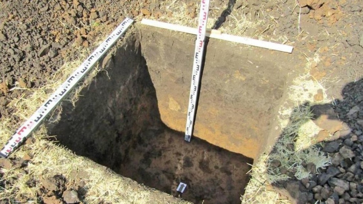    Под Энгельсом нашли уникальный памятник возрастом до 4 тысяч летНовости Саратова и области – Сетевое издание «Репортер64»