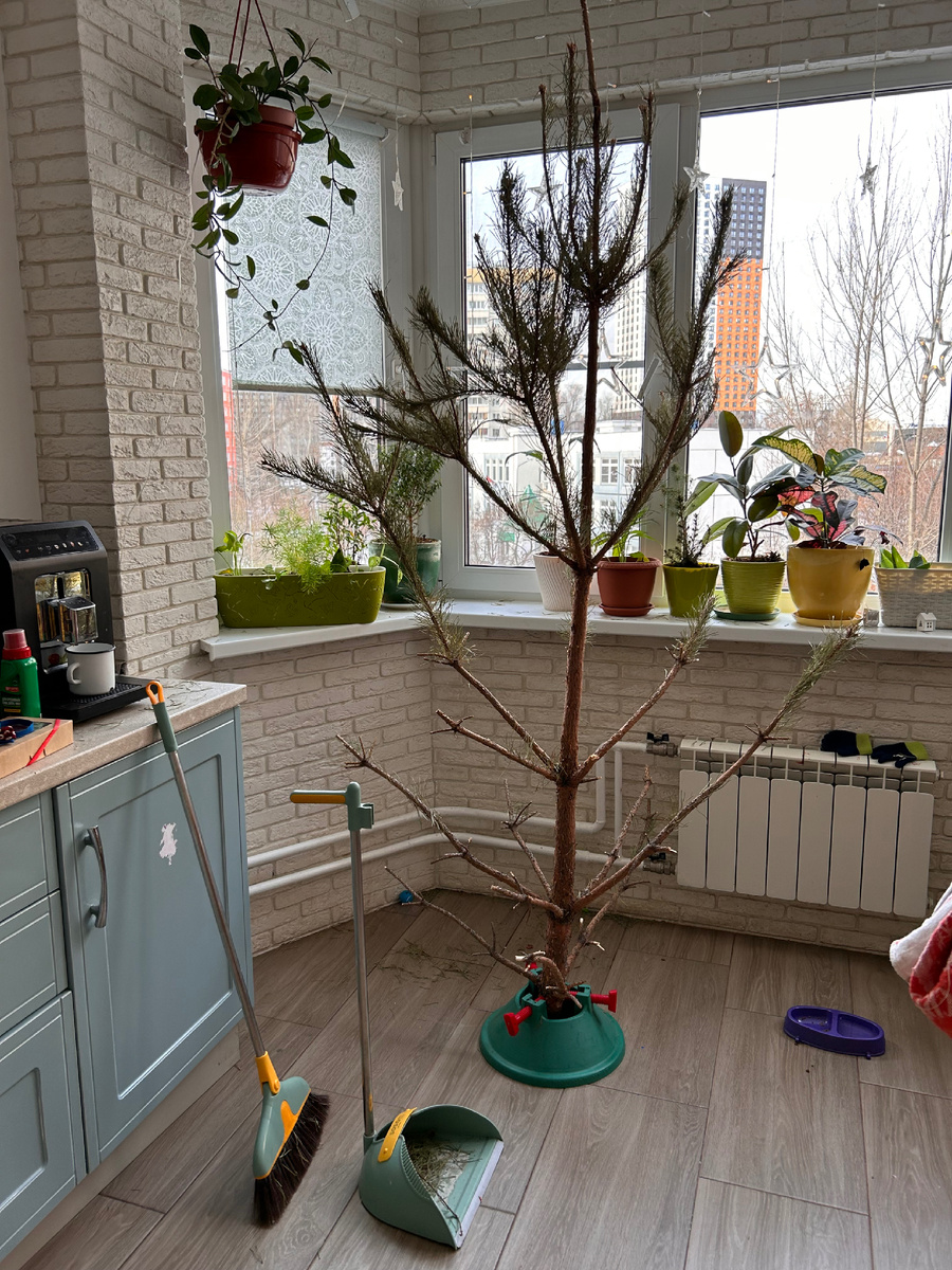 У елки послепраздничное похмелье. Убираем. Игрушки рассортировала и тоже уже убрала