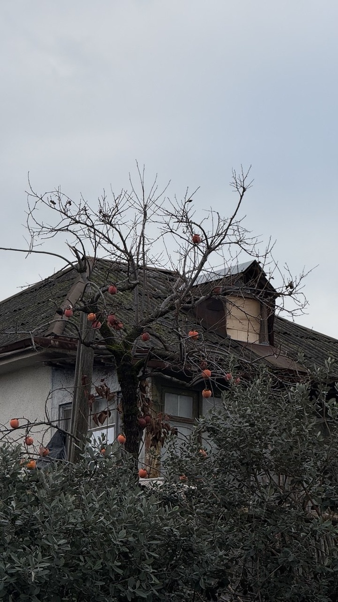 просто рандомное фото