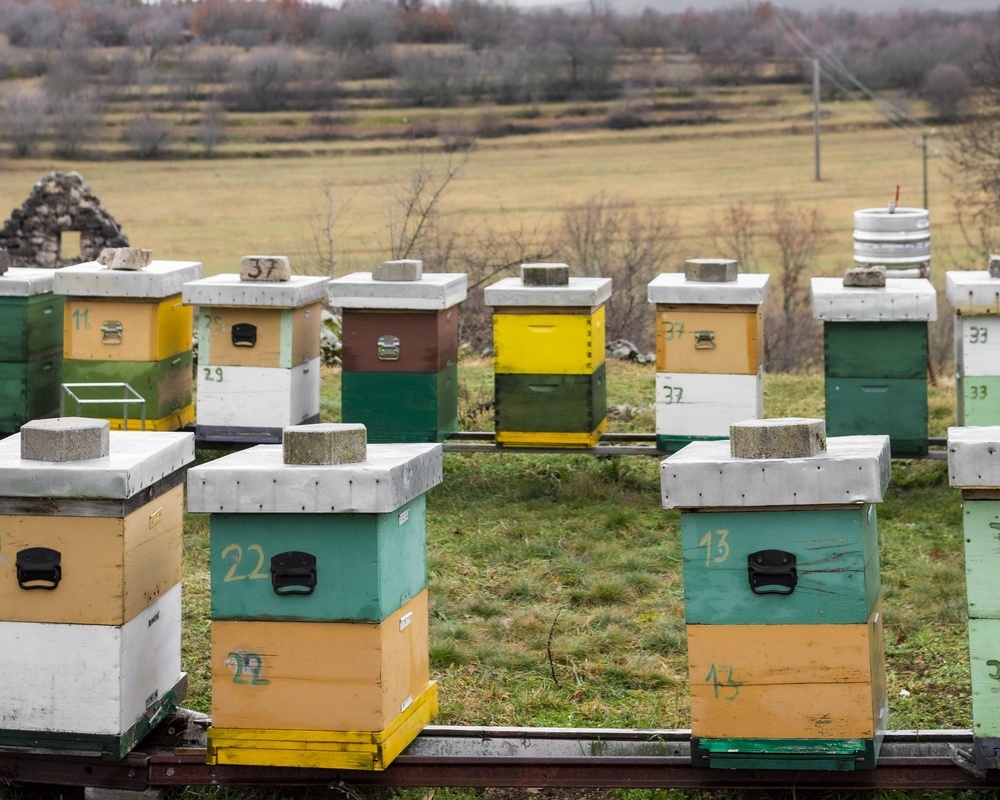 Ветеринарные правила содержания пчел
