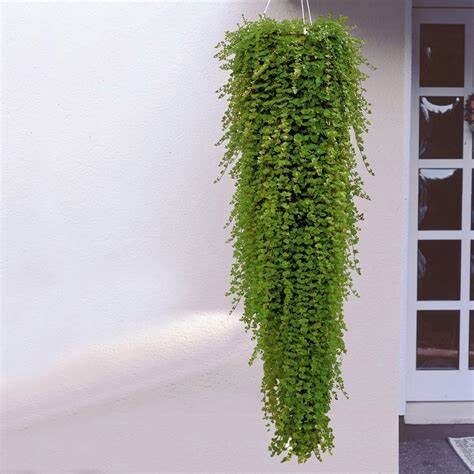 Фото из интернета, авторство установить не удалось