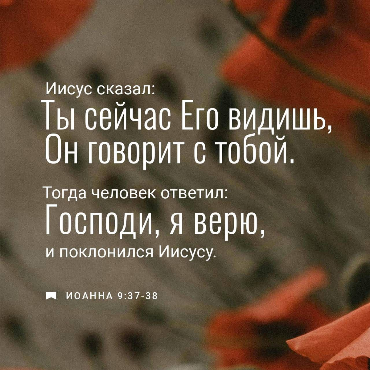 Иоанна 9:37-38 НРП