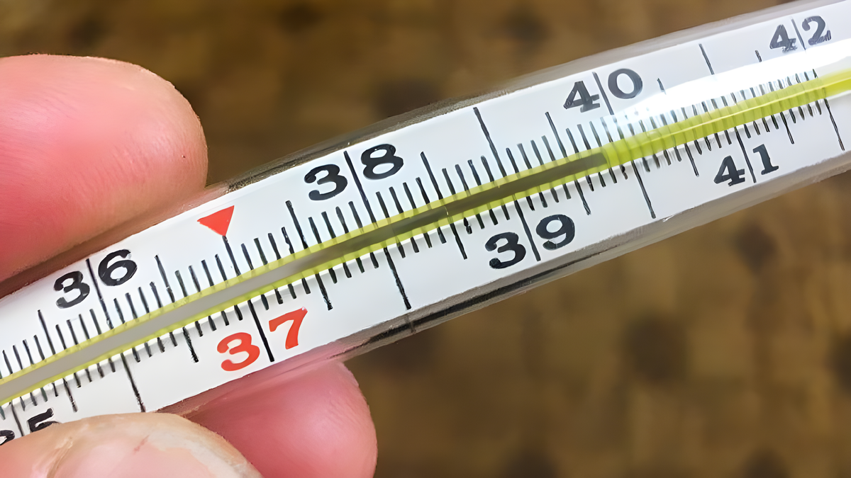 Высокая температура — это нормальная реакция организма на инфекцию. Однако в некоторых случаях она может представлять угрозу и требовать вмешательства. Следуйте этой пошаговой инструкции.