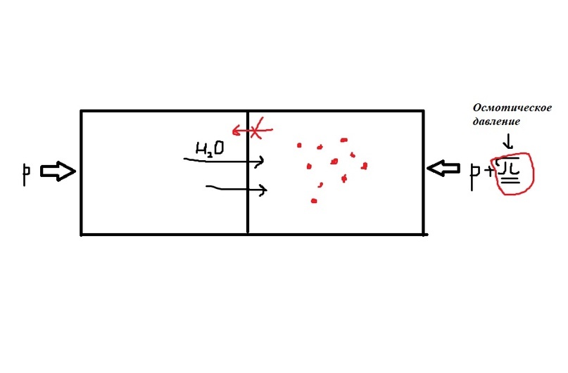 Вот наша камера!