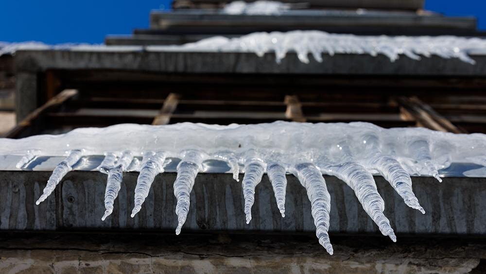    Фото: Sergey Elagin/globallookpress.com