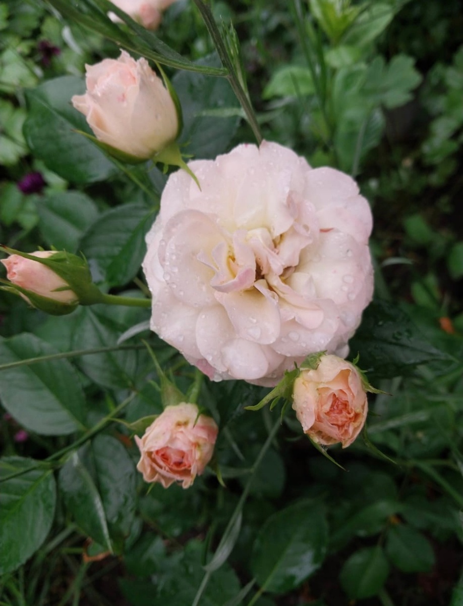 фото личное