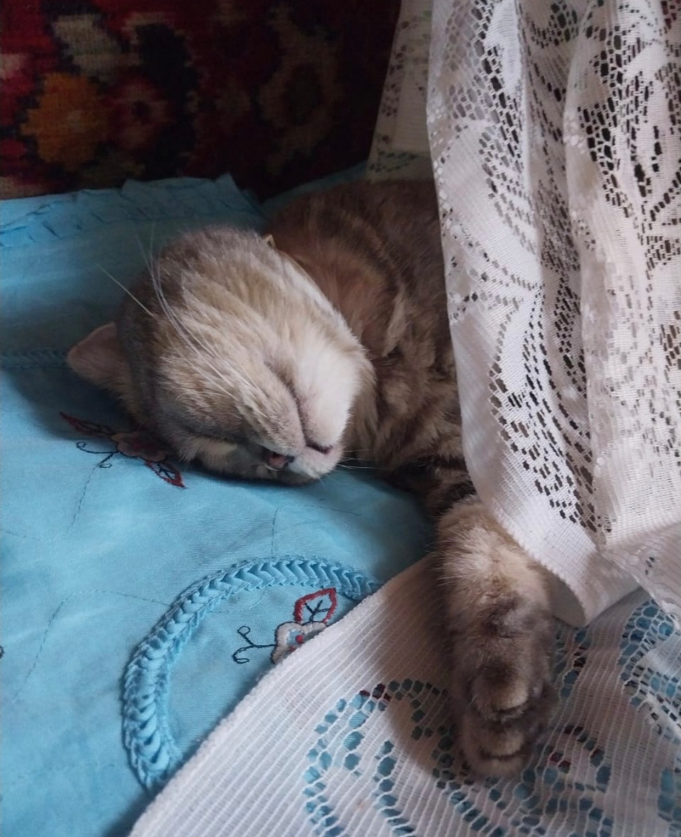 личное фото