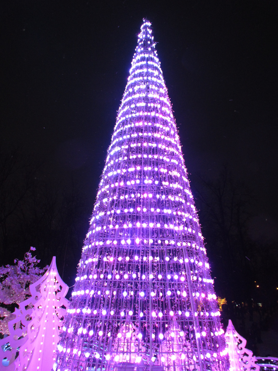 Светодиодные инсталляции в новогоднем парке Сокольники
