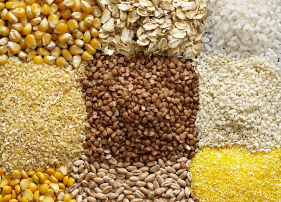 Фото сайта Минсельхоза России