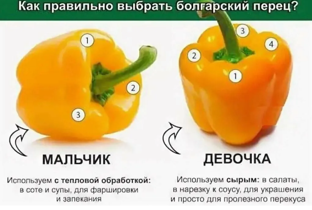 изображение с яндекс. поиск