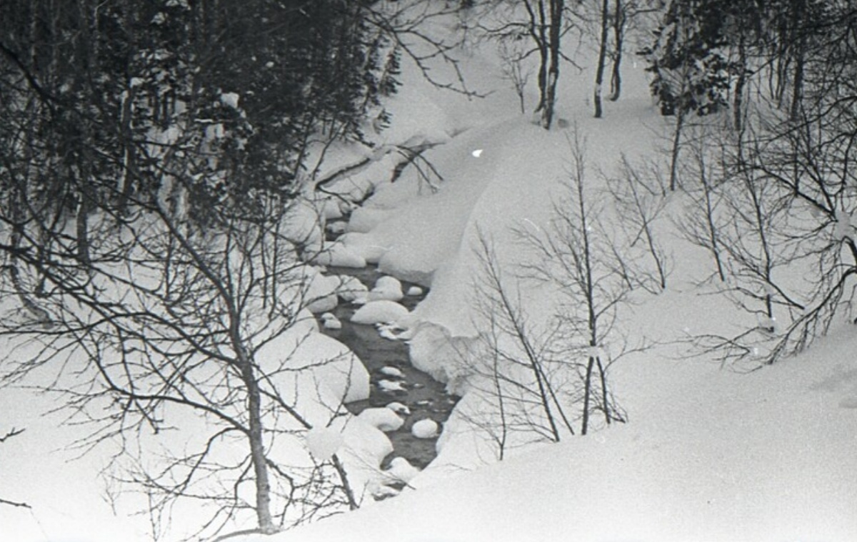 Из открытого доступа.