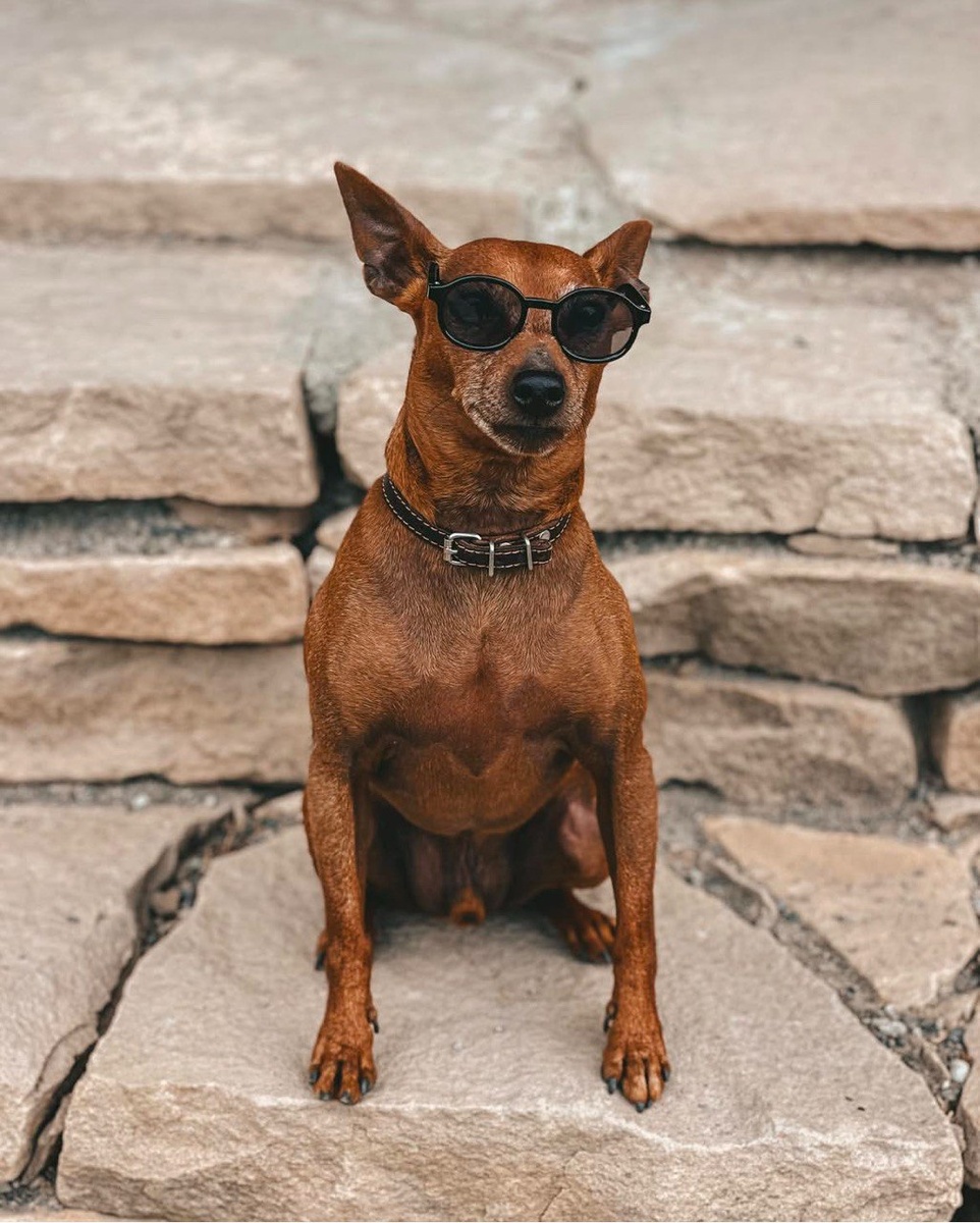 Грузия, 2023 год