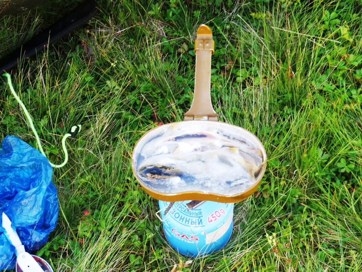 Самое простое - варим с солью рыбок. Но вечером была полноценная уха.