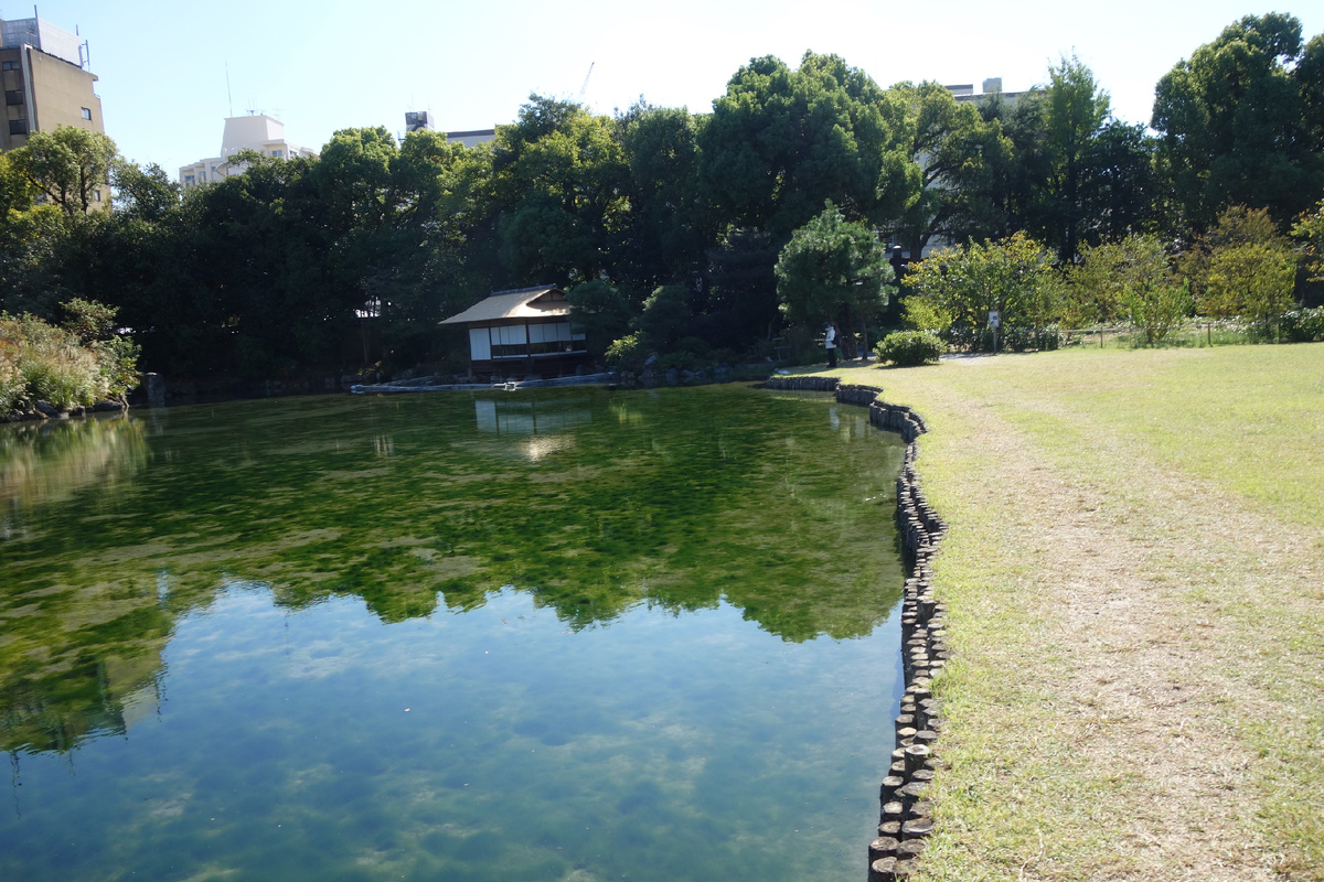 Берег пруда в парке Шосей-Ин Гарден в Киото