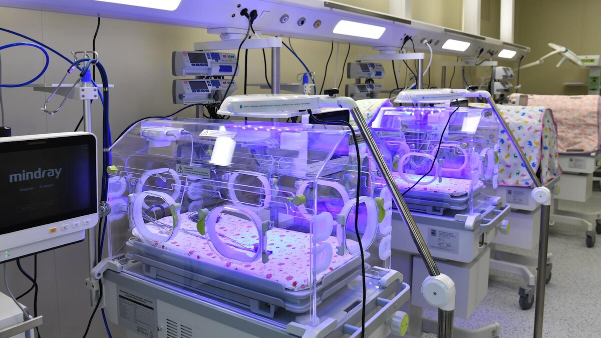    Фото: Komsomolskaya Pravda/globallookpress.com