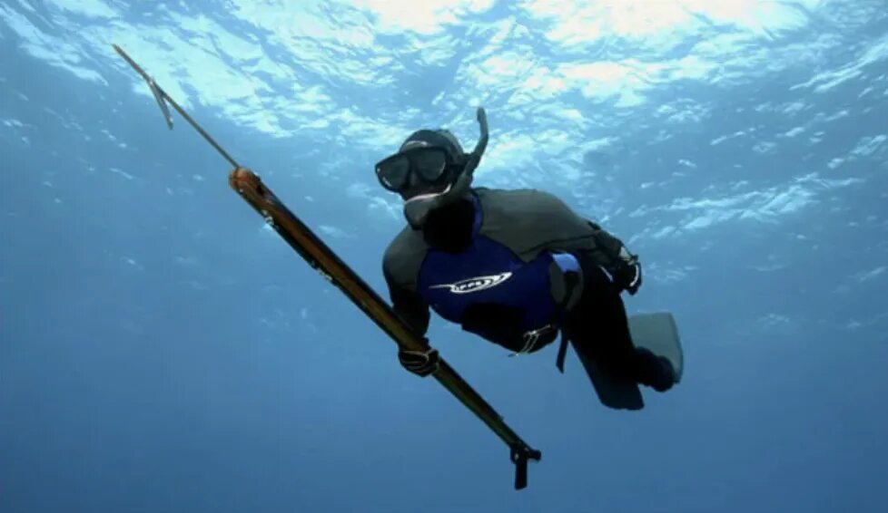 
На современном рынке представлено множество вариантов костюмов, которые отличаются материалами, кроем, толщиной и дополнительными функциями.

Первое, на что стоит обратить внимание при выборе костюма, — это материал, из которого он изготовлен. Наиболее популярными являются неопрен и лайкра, но существуют и более инновационные смеси, предлагающие улучшенные характеристики.

Неопреновый костюм обеспечивает хорошую теплоизоляцию, что особенно важно при охоте в холодных водах. Лайкра, в свою очередь, более легкая и практически не стесняет движений, что идеально подходит для охоты в теплых водах.



Кроме материала, стоит учесть и другие факторы, такие как толщина костюма и его крой. Толщина костюма варьируется в зависимости от условий, в которых предполагается охота. Для теплых вод подойдет костюм толщиной 3 мм, тогда как для холодных вод потребуется более толстый вариант — от 5 мм и выше.

Что касается кроя, стоит выбирать костюмы с анатомическим кроем, которые плотно облегают тело, не создавая лишних складок, что снижает сопротивление в воде.

Наконец, дополнительные функции и особенности костюма также становятся решающими при выборе. Многие современные модели оснащены усиленными наколенниками, противоскользящими покрытиями и встроенными системами вентиляции.

Всё это способствует долговечности костюма, его комфорту и эффективности во время охоты. Не стоит забывать и о таких деталях, как удобные застежки и возможность крепления дополнительного снаряжения, что делает костюм настоящим помощником подводного охотника. Выбирая костюм для подводной охоты, важно подходить к этому вопросу с умом и учитывать все нюансы, чтобы каждый выход на воду приносил только положительные эмоции и долгожданный улов.