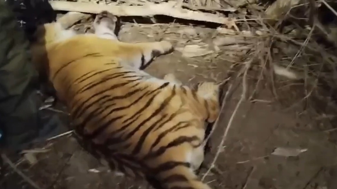     Источник: primorskyru