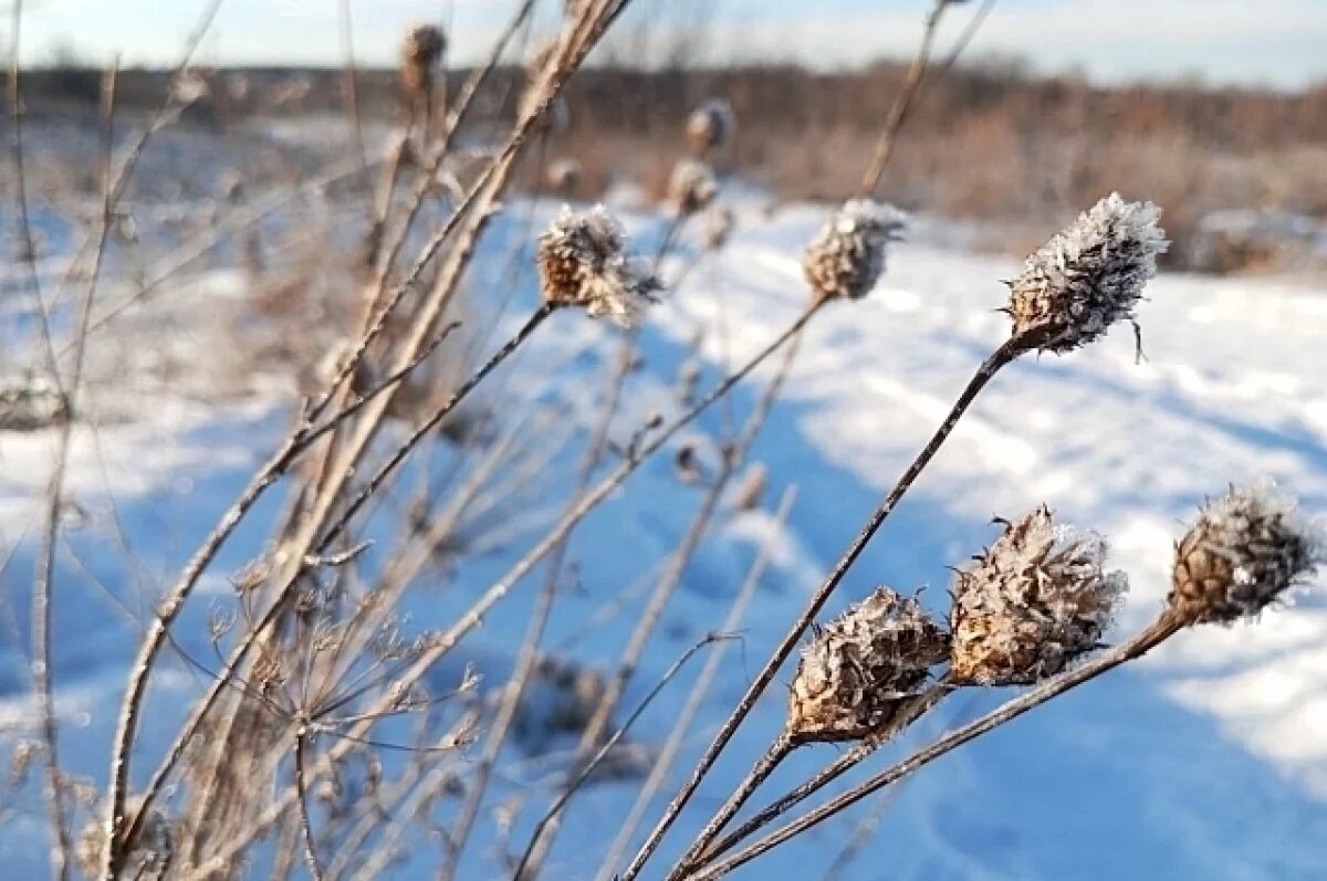    Магнитные бури сегодня, 9 января, в Красноярске и Сибири: