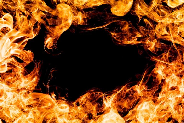    Фото: ru.freepik.com Екатерина Шахнина