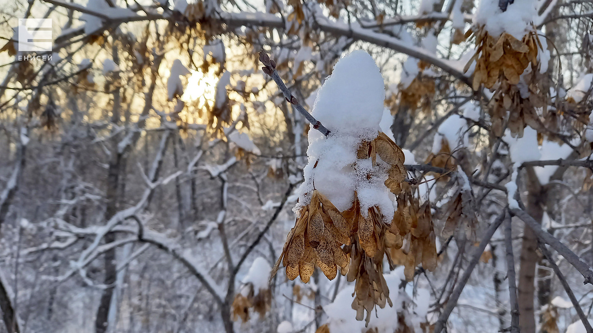     На короткой рабочей неделе в Красноярске ожидается до -10 градусов