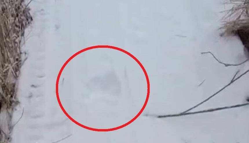    Источник фото: