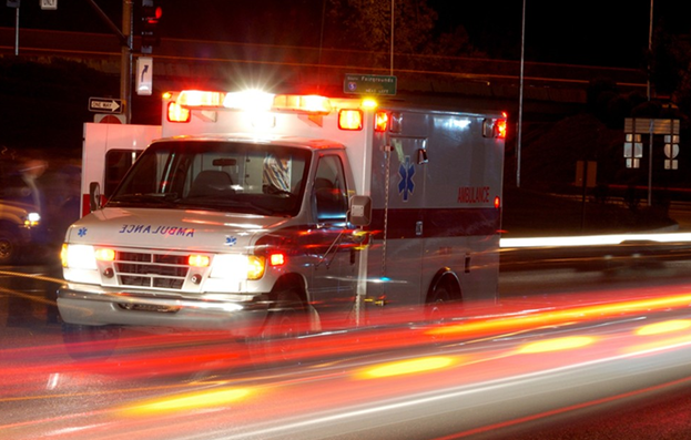 Фото находится в свободном доступе в Интернете