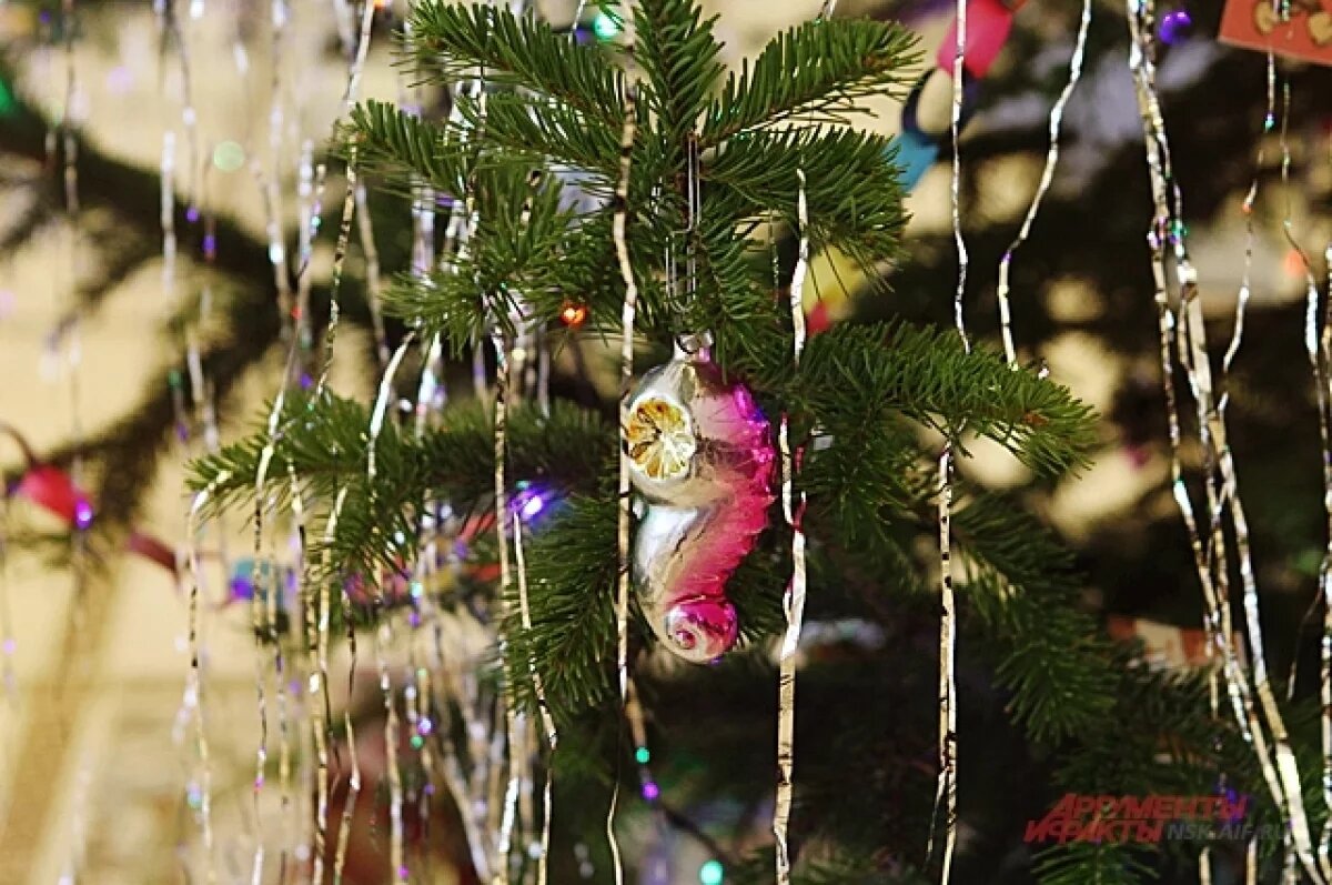    С 10 января в Новосибирске начнут собирать новогодние ёлки на утилизацию