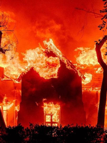    Пэрис Хилтон показала, как сгорел ее дом, фото: соцсети