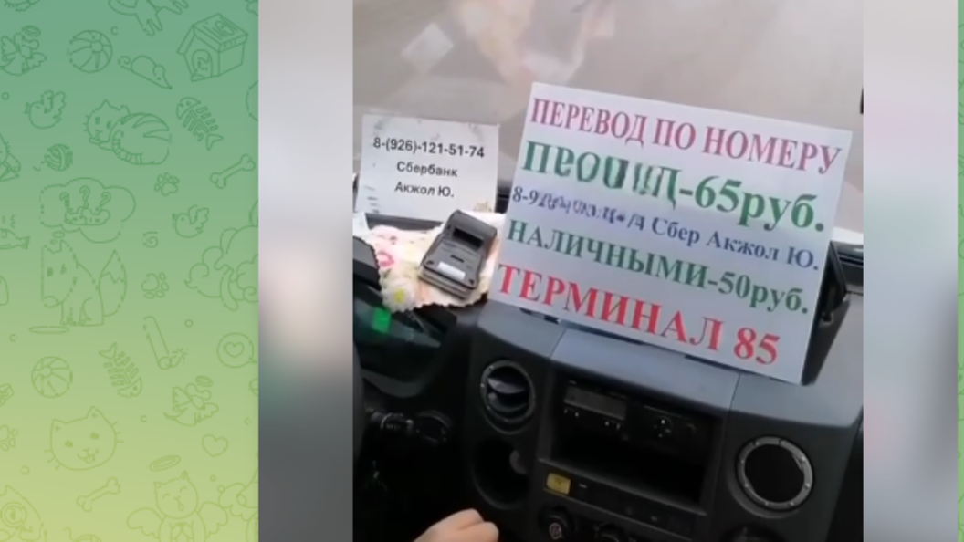    фото: тг-канал "многонационал".