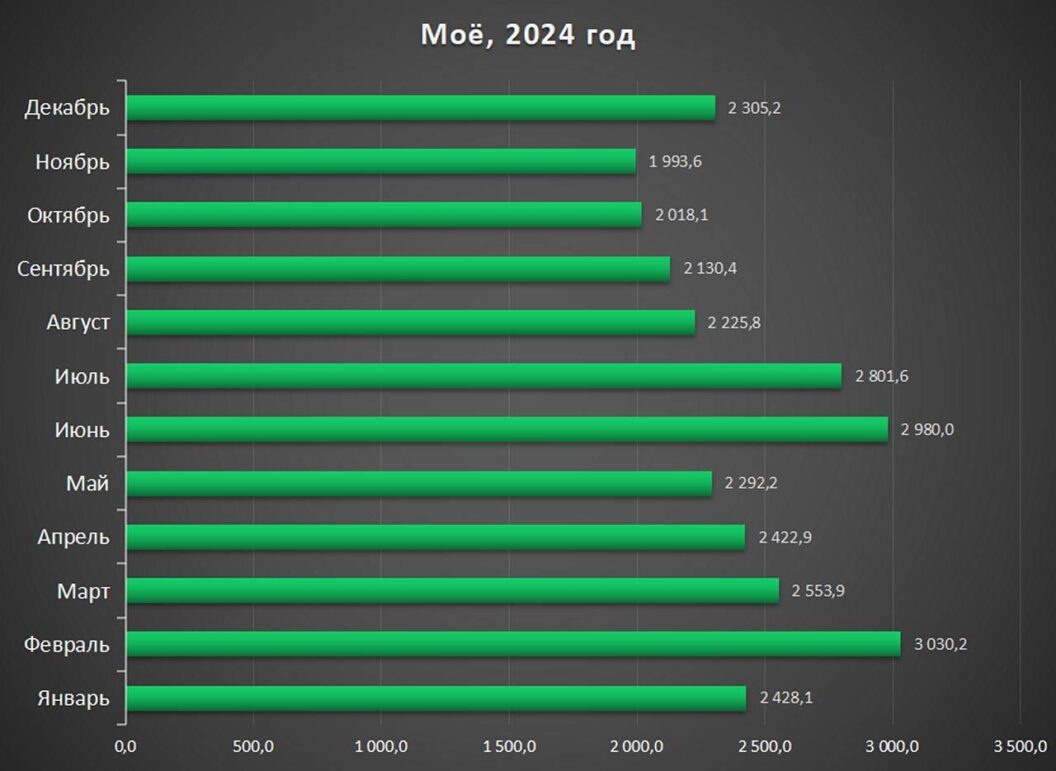    «Моё», аудитория в 2024 году