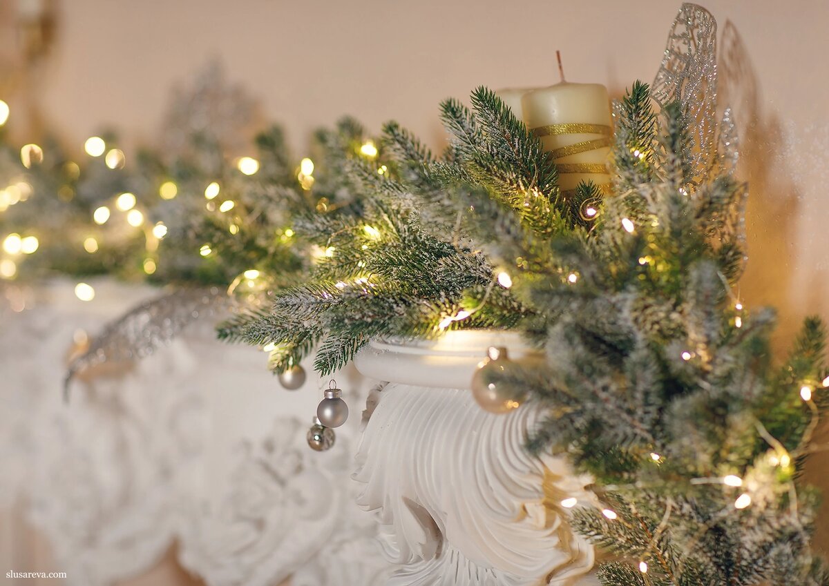 Фото для обложки — Елена Слюсарева