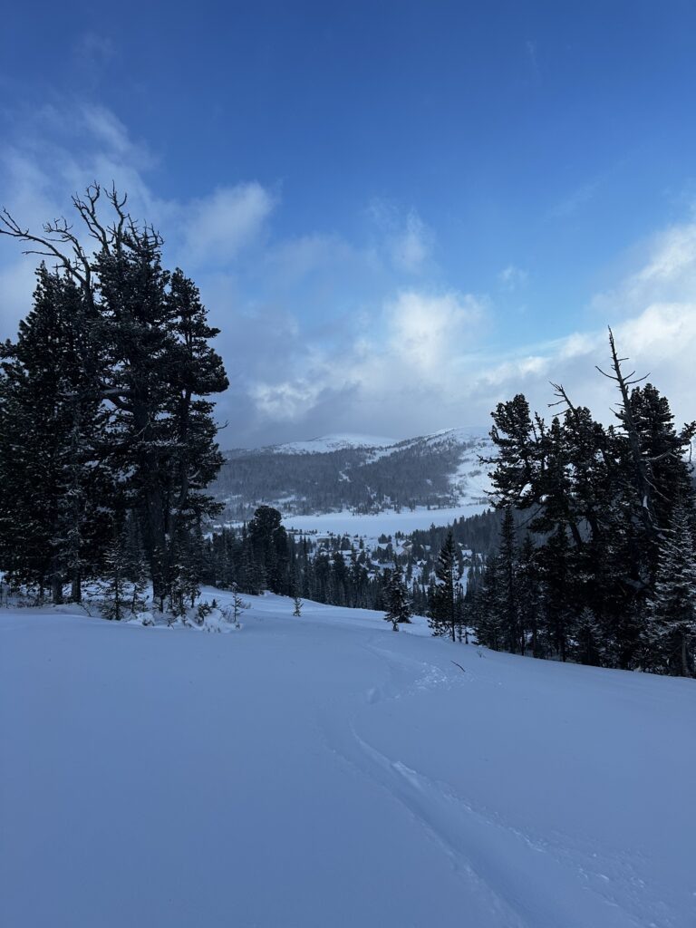    Фото: «В курсе.ру» Ульяна Бажанова
