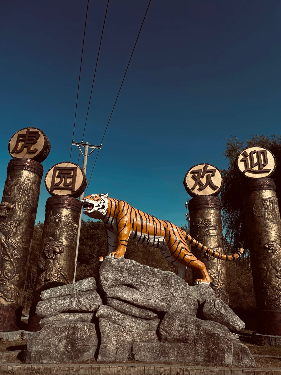 Парк основан Исследовательским центром КНР по защите северо-восточных тигров. 